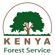 kenya forest service